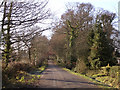 Pinkney Lane, near Lyndhurst, New Forest