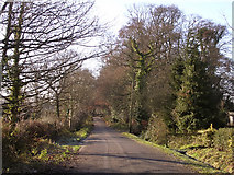 SU2907 : Pinkney Lane, near Lyndhurst, New Forest by Jim Champion