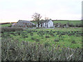 Sessiagh Townland, Fintons