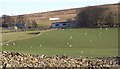 Hause Farm with M6 in the background.