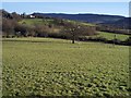 Caerllion and Usk Valley, Monmouthshire