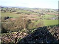 Sor Brook Valley, Monmouthshire