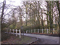 The bridge at Wittensford, New Forest