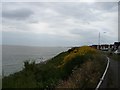 Sea Cliffs, Holland-on-Sea