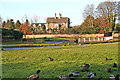 Brantingham Village Duck Pond