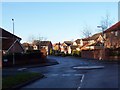 Housing Estate off Tongue Lane