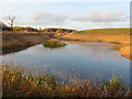 Pond, Minet Country Park