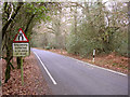 Un-named lane to Emery Down from the A337, New Forest