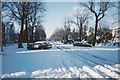 Winter Snow 1990