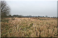 Rough pasture near Thurcaston