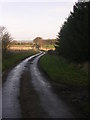 Lane to Low Field, near Eppleby, North Yorkshire