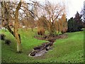 Weeping Willows at  Ainsworth