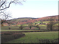 Higher Halsway and Halsway Manor from Heddon Oak