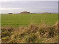 SU0116 : Round barrows on Handley Hill, close to the Ackling Dyke by Jim Champion