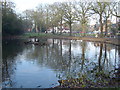 Letchmore Heath: The Pond