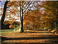 Hazlehead Woods in Autumn