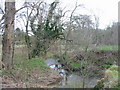 River Brit near Oxbridge