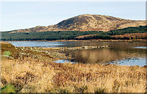 NX4895 : View of Black Craig from West of Loch Doon by Brian Joyce