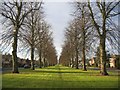 Avenue, Beverley Road