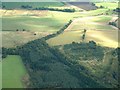 Eastfield Plantation with road to Saline top right