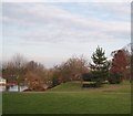 Park overlooking the Thames