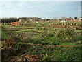 Wanborough Allotments