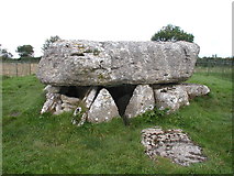 SH5086 : Lligwy Burial Chamber - a Cromlech by Nigel Homer