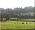 Aley from Over Stowey