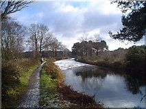 SU8253 : Basingstoke Canal at Pondtail by MickofFleet