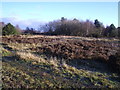 Freshfield Dune Slack Heath