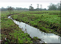 Grazing land and the Cole