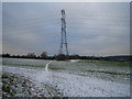 Footpath across Farmland at Pickford Green