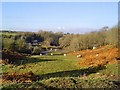 Near St Brides - Glamorgan