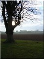 Farmland at Berkshire College of Agriculture