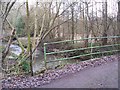 Bridge over River Rother, Stodham Park