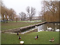 TL1760 : Pond near Riverside Car Park, St Neots by Martyn Johnson