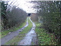 TL2421 : Muddy track leading to railway bridge by Robin Hall