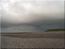 NY0640 : Solway sands with the tide out by ally McGurk