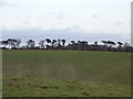 Farmland at Sheepridge