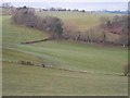 The Frolic Farm near Dolforwyn Castle, Powys