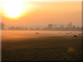 Mist over the Soar Valley, Sileby