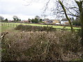 Houses on Routs Green, Bledlow Ridge