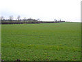 Farmland, Comberton, Cambs