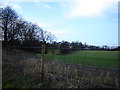 Fields Near Thedden Grange