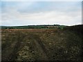 Winter ploughed field - Moreleigh, South Devon