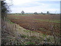 Field near Newbottle Farm