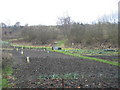 Allotments, Kineton