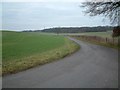SU4255 : The Road to Binley past Longbarrow by Colin Bates