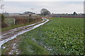 SO6127 : Track from Overton Farm, near Brampton Abbots by Philip Halling