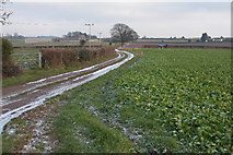 SO6127 : Track from Overton Farm, near Brampton Abbots by Philip Halling